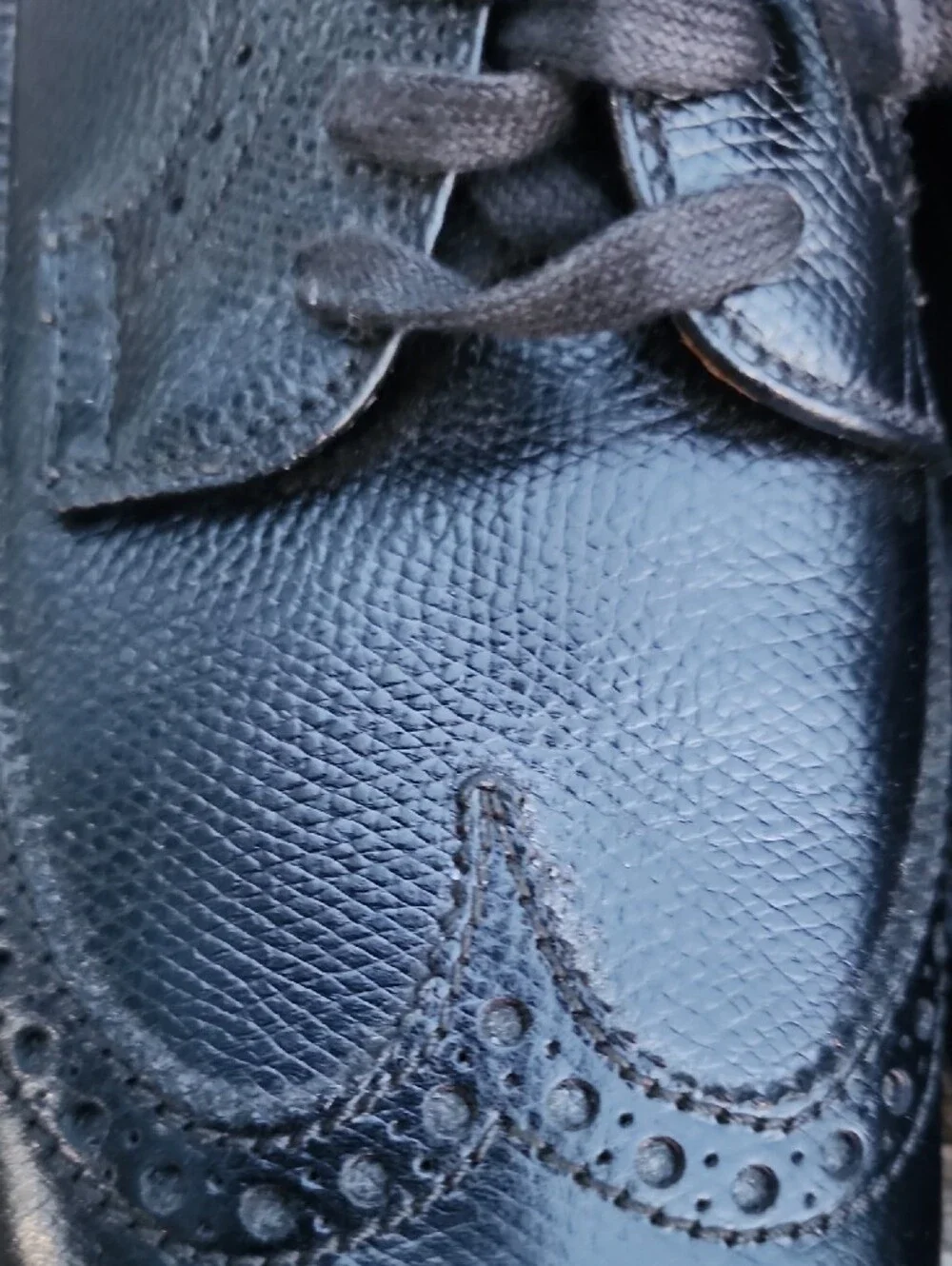 Alden 679 Black Alpine Grain Long Wing Blucher Shoes 7.5 D